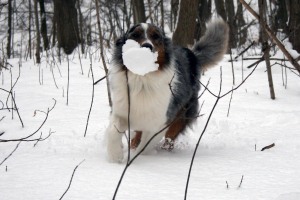 Jack carrying a snowball