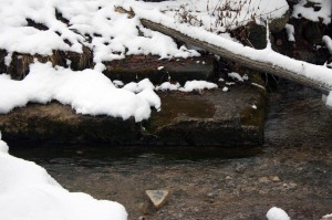 Steps into the Creek
