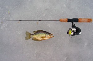 Crappie and Rig